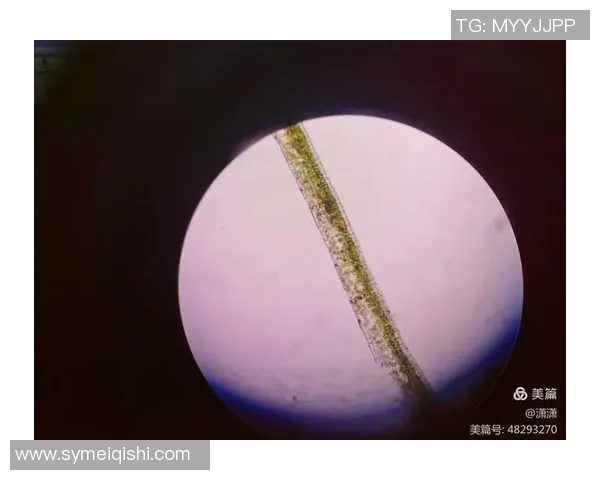 探索足球红气孔的奥秘与技术创新对比赛的影响与未来发展趋势